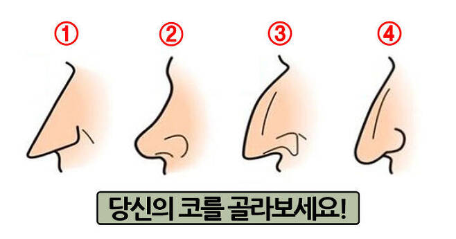 출처: 코 모양으로 보는 당신의 관상은?