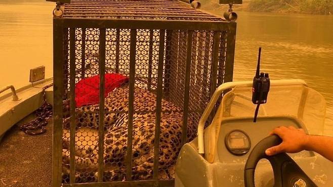 출처: Jaguar Ecological Reserve