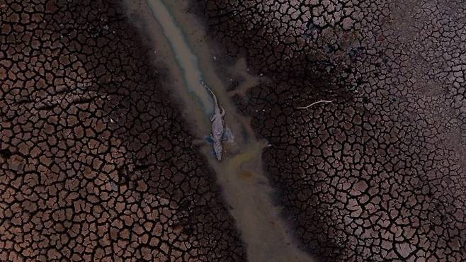 출처: Getty Images