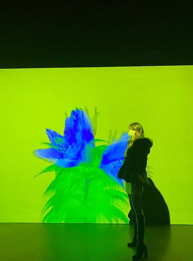 출처: 파이스타일 (파이베트)