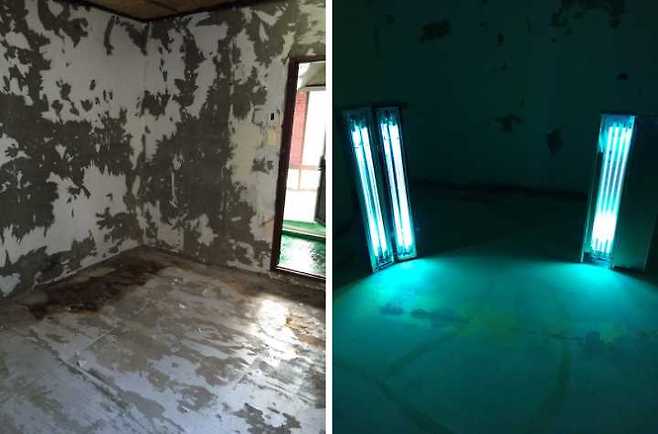 출처: 스위퍼스 제공