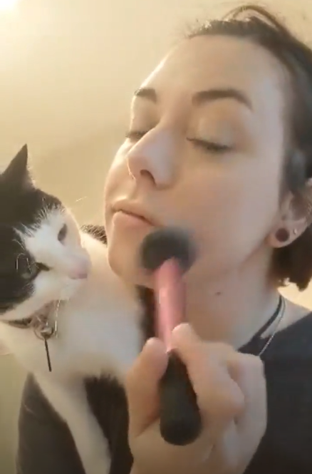 출처: https://www.thedodo.com/close-to-home/cat-stops-mom-from-putting-on-makeup