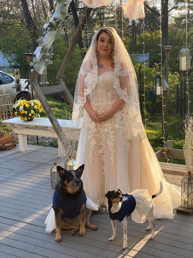 출처: https://www.thedodo.com/close-to-home/ohio-bride-uses-her-dogs-as-bridesmaids
