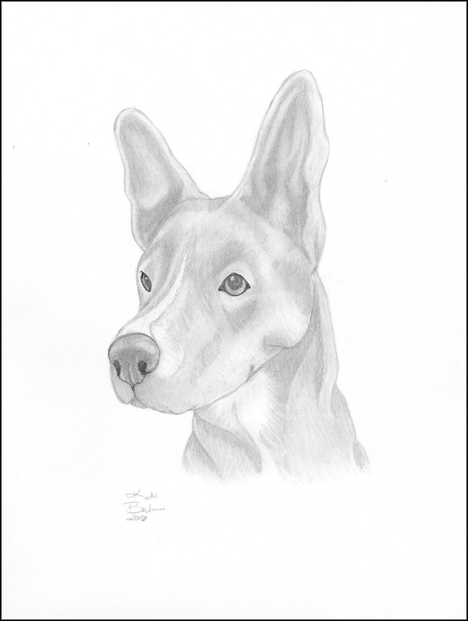 출처: https://3milliondogs.com/dogbook/artists-draws-perfect-portraits-of-dogs-to-try-and-get-them-adopted/?gallery=6#galleryview