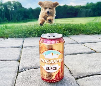 출처: https://people.com/pets/beer-for-dogs-busch-debuts-a-nonalcoholic-dog-brews/