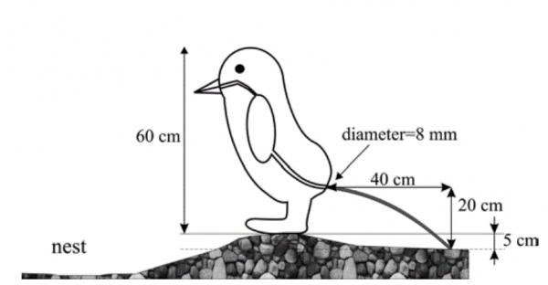출처: Pressures produced when penguins pooh