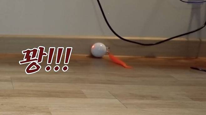 출처: 유튜브 '햄튜브' 채널