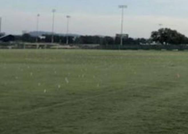 미국 고교생 졸업반 학생들 장난치다 무더기 정학 학교 운동장에 플라스틱 포크를 꽂아놓은 모습. 미국 지역 매체 뉴스4 머건 버렐 트위터. 재판매 및 DB 금지.