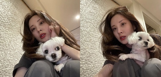 ..June is here, Seohyun.Girls Generation member and actor Seohyun has revealed his daily life with Pet.On the first day, Seohyun posted several photos on his instagram with an article entitled Seohyun. Porpoya calm down! Calm down.In the open photo, Seohyun sat on Pet and stared at the camera and showed off his alluring charm.Seohyun caught his eye with a perfect visual without humiliation, even though he took the camera under his face.The netizens who saw this responded such as I am going to faint because my sister is so beautiful and I want to be a pet dog.Meanwhile, Seohyun chose the movie Moral Sense as his next film; Seohyun played Jung Ji-woo, who looks seemingly cold and blunt in the play but has a warmer heart than anyone else.Photol Seohyun SNS