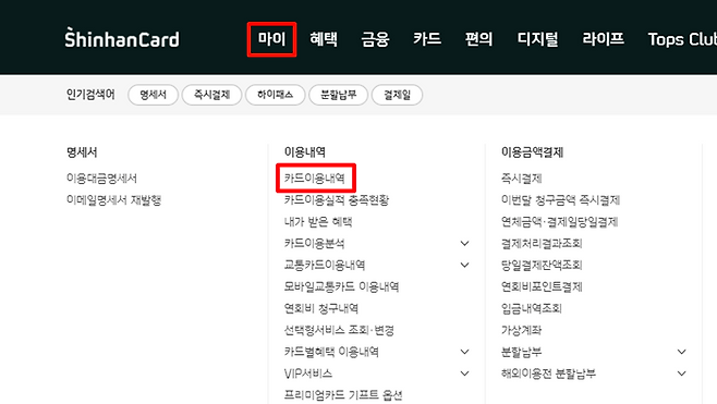 신한카드는 마이→카드이용내역에서 확인할 수 있다