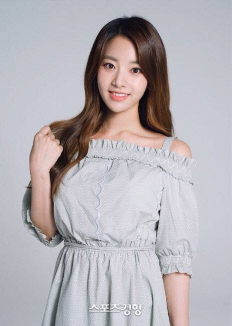 DSP미디어 제공