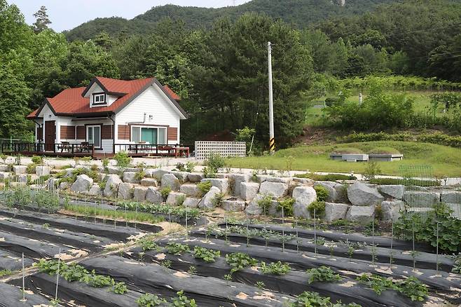 농지법 위반 의혹 제기된 우상호 의원 포천 땅 (포천=연합뉴스) 임병식 기자 = 농지법 위반 의혹으로 자진 탈당 권유를 받은 더불어민주당 우상호 의원의 포천 땅. 해당 부지에는 주택 1채와 묘지 2기가 들어서고 잔여 농지에는 농작물이 심겨 있다. 2021.6.9 andphotodo@yna.co.kr