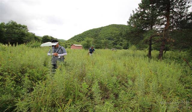 대한북로독군부의 본부와 연병장이 있던 넓은 터. 세월이 흘러 풀이 무성하다. 최운산장군기념사업회 제공