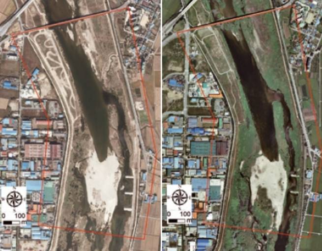 2010년(왼쪽)과 2016년 섬강을 비교하면 식생(녹색) 면적이 늘어난 것을 확인할 수 있다. 구글어스 제공