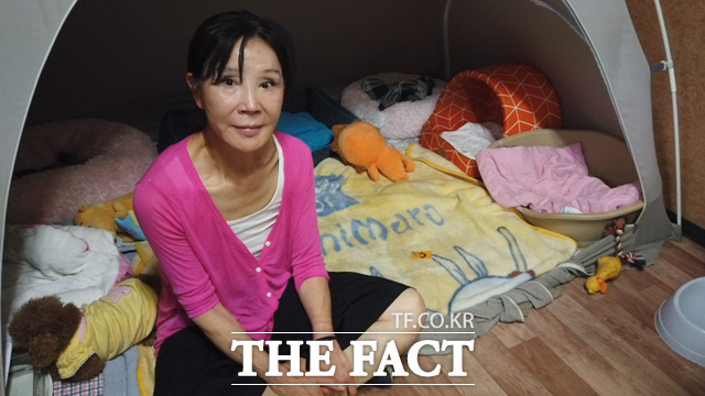 '유기견 대모'이자 배우 이용녀가 지난 2월 경기도 포천의 유기견 보호소 화재를 극복하고 희망을 잃지 않고 있는 마음을 <더팩트> 취재진에게 밝히고 있다. /포천=이승우 기자
