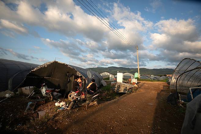 오후 일과를 마친 이주노동자 3명이 경기도 한 농가의 비닐하우스 숙소 앞에서 휴식을 취하고 있다. ⓒ시사IN 이명익
