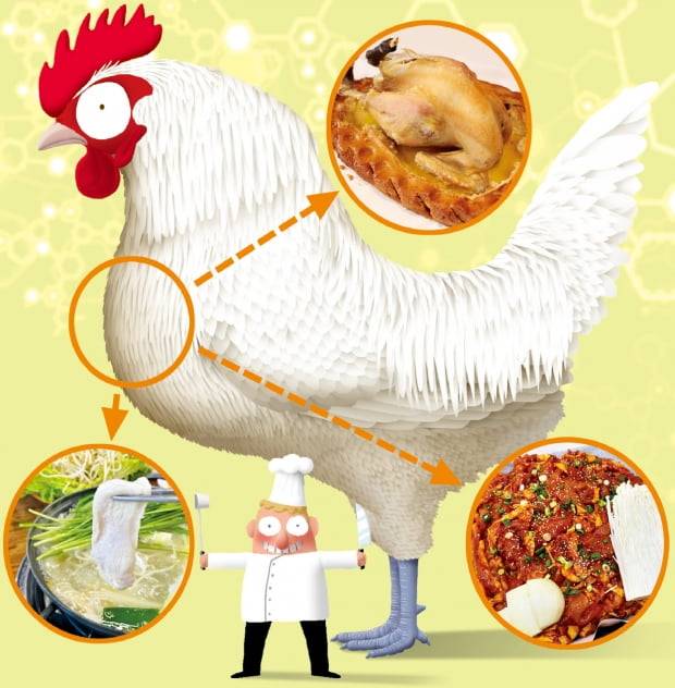 일러스트=추덕영 기자