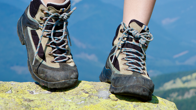 출처=게티이미지