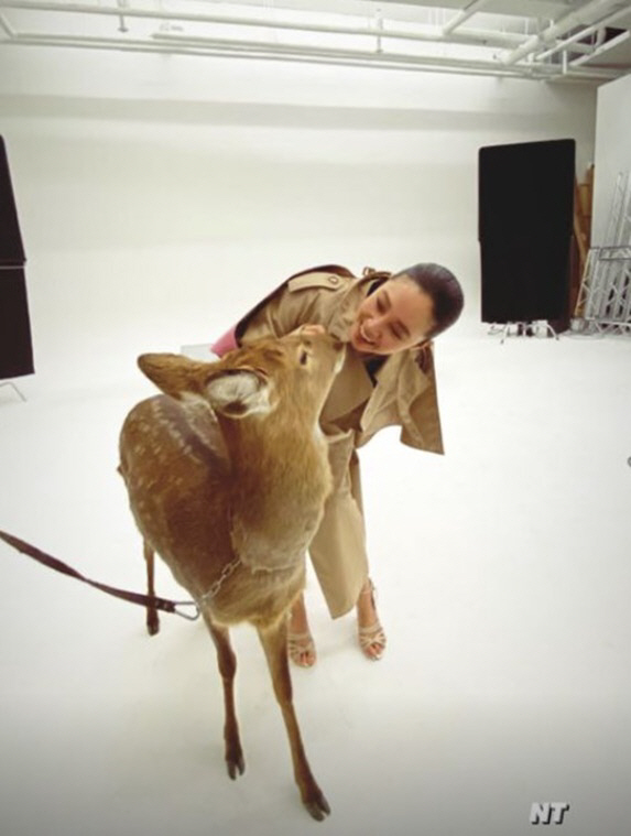 Actor Gong Hyo-jin has released a certification shot with Sika deerOn Sunday, Gong Hyo-jin posted several photos on his instagram.In the open photo, Gong Hyo-jin met Deer on the set.Gong Hyo-jin, who looked at Deer with a strange look and hugged Deer, is smiling with a surprised smile as Deer kisses his face.Gong Hyo-jin and Deers lovely two-shot draws attention.Meanwhile, Gong Hyo-jin was greatly loved for playing the role of Camellia in the 2019 KBS 2TV drama Around the Time of Camellia Flowers. He is currently reviewing his next film.
