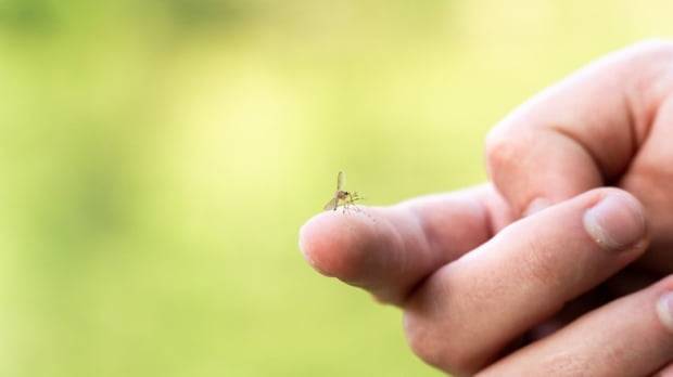 사진=게티이미지뱅크