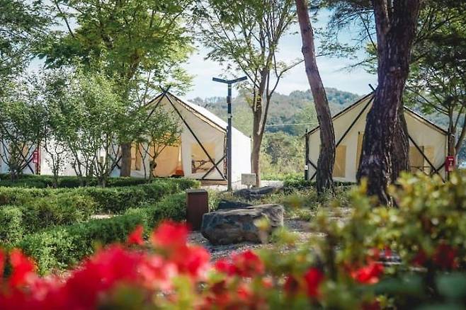 인스타그램 @gosurfing20