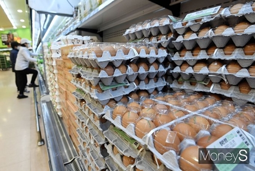 전년 동기 대비 달걀 가격상승률이 70.6%에 달한 것으로 나타났다./사진=장동규 기자