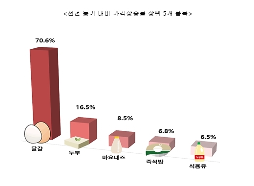 전년 동기 대비 가격 상승률 상위 5개 품목/사진제공=한국소비자단체협의회 물가감시센터