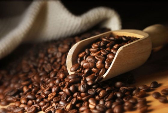 커피에도 '제철'이 있다. 수확한 원두를 가장 빨리 맛볼 수 있는 시기가 바로 해당 커피가 가장 맛있는 때다. 지금 제철이라 말할 수 있는 커피는 6월부터 국내에 들어오기 시작한 중남미 지역의 커피들이다. [중앙포토]