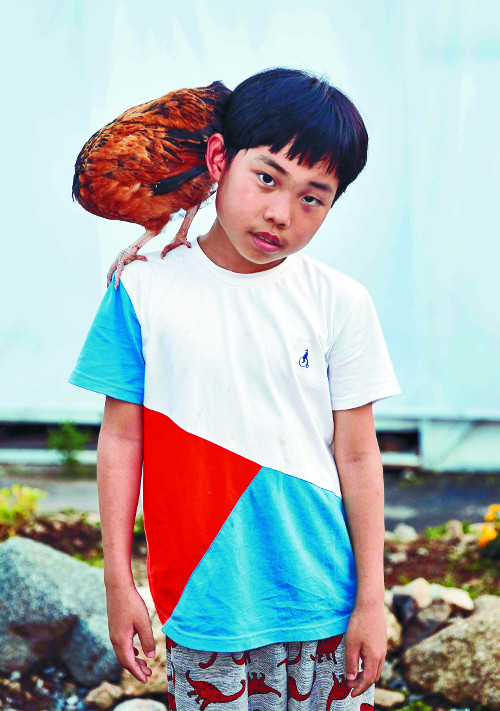 신지승 감독의 아들 하륵군이 집에서 키우는 닭으로 닭쇼를 보여주고 있다.
