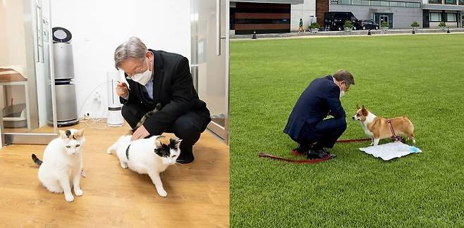 고양이, 개 등 반려동물과의 사진을 지속적으로 올리고 있는 이재명 경기도지사 /이재명 인스타그램