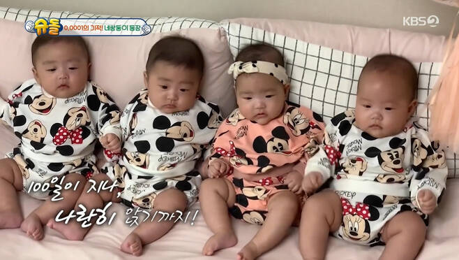 Marriage 5 years Lee Han-Sol, Na Hye-seung and four-twin daily life were revealed.On August 8th, KBS 2TV The Return of Superman 393 times, broadcasters Sayuri and Jen Hat (child) visited Lee Han-Sol and Na Hye-seungs house.Naturally, the probability of a net boy being born was 0.0001%.Sayuri, who watched the daily life of the net boy, which was a miracle from birth, on SNS, visited their nest on this day to meet them directly.Sayuri said: I saw four-twin on social media, Im still one son and I wanted to ask how I could take care of four people and help them.Four-twin is the first haon, the second hamin, the third haun, and the fourth hajun. Netney, who was born at one oclock in December 2019, entered the 19-month life.Both mother and father had no time to rest because they had to take care of their children at the same time from weather to eating, washing, and changing clothes.Among them, Hamin caused a smile to her mother with the brilliance of putting naked clothes directly into the laundry bin as Father asked.I thought it was hard for three people, but I can not even give my business card to that house, said actor So Yoo-jin, who watched this.Na Hye-seung said, I gave birth to four-twin due to natural pregnancy. I had two miscarriages before I got pregnant. The doctor also saw such a situation for the first time.At first, he said that it was more dangerous to miscarry because he was going to a big hospital. We were very surprised.