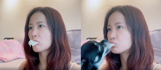 Kim Ji-min posted a short video on his Instagram on the 10th, along with an article entitled Why do not you eat and eat?In the public footage, Pet was eating the Confectionery that goes into Kim Ji-mins mouth.Kim Ji-min expressed her affection by building a mother Smile on Pets appearance.Kim Ji-min, meanwhile, was born in 1984 and is 38 years old this year.Photo: Kim Ji-min Instagram