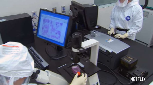 /사진=넷플릭스 '익스플레인: 코로나바이러스를 해설하다' 영상 캡처