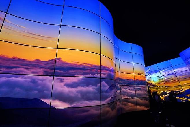 출처=LG디스플레이