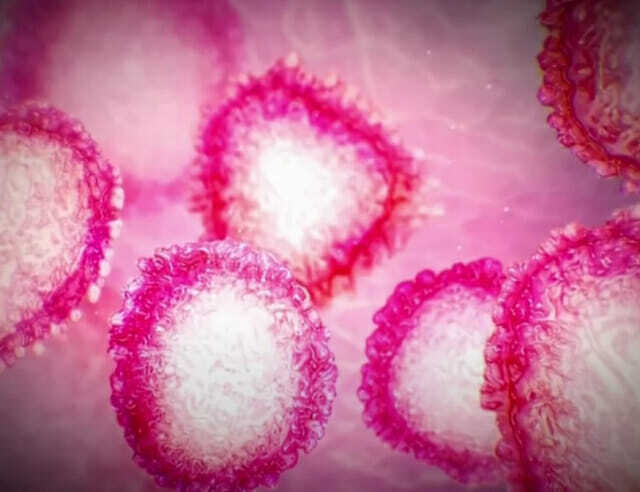 이달 초 국내에서 델타플러스 변이 바이러스가 처음 확인된 가운데 델타변이 감염자의 발병 당일 바이러스 배출량이 1차 유행에 비해 약 300배 많은 것으로 분석됐다. (사진=NBC 유튜브 뉴스 화면 캡쳐)