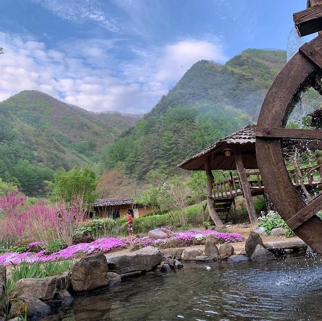 인스타그램@sangol_choga