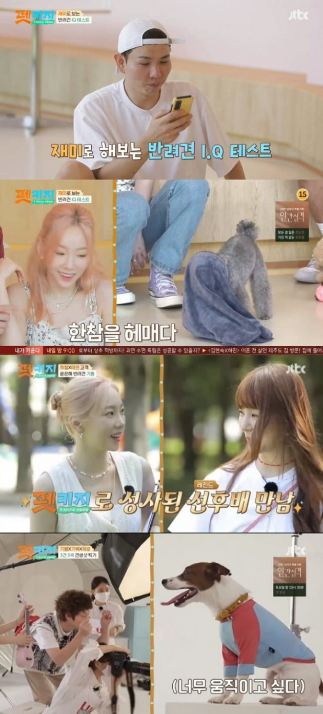 Girls Generation Taeyeon wins the title with PetGuiderIn the JTBC entertainment Travel Battle - Pet Key (hereinafter referred to as pet key) broadcast on the last two days, Kang Ki-young, Kim Hee-chul, Taeyeon, and Jays Ulsan trip were included.On this day, Jay-Won joined the Ulsan trip on behalf of Hong Hyun-hee.Jay, on the bus to his destination, said he met with Hong Hyun-hee on how he met him. I still think he is dating.Kim Hee-chul said, I wonder when Taeyeon will marry, and I think I will do a wedding at home because it is a house order.Also, Jay wrote, We called only 20 families and had a small Soldiers wedding. Kim Hee-chul said, I will do it at Jamsil Stadium.I wonder (when Ill get married) too, Taeyeon said, adding that Small Soldiers Wedding is also a great deal.The place they arrived was recommended by Taeyeon, a dog cafe where a large playground caught the eye. The members also had time to test their dog IQ.The first test was Towel out, which was a test to cover the towel over the puppys body and then measure the time to get out.Zero froze to the spot as soon as he covered the Tower and escaped in 30 seconds, Taehee for 46 seconds, Pupu for not coming out.Then, we moved to the place recommended by Kim Hee-chul, a brunch cafe with ocean view, and a swimming pool where dogs and companions can enjoy together.They also sold food for dogs.Kim Hee-chul looked at Taeyeon, who ordered Salad, and said, Do you come here and eat seafood ramen and order Salad?, and Taeyeon said, Salad is a stock. I like to eat Zazu lighter than heavy. Kim Hee-chul was surprised that so I do not get fat.The next place was to move to the Taehwa River National Garden, the Kang Ki-young recommended place, and first to the Milky Way Bridge, where a transparent bridge was installed and the floor was transparent.He then went into the forest, but he was dissatisfied with all the endless roads and embarrassed Kang Ki-young.In the meantime, Taeyeon won the best pet guider by Guider.Health and safety are important points of pet travel, and I hope that various information will be shared through pet key, said Taeyeon, who said, Lets try to make a full-scale pet key good showdown by dividing the team.Kim Hee-chul, who became a team with Taeyeon prior to the confrontation with Hong Hyun-hee & Kang Ki-young team, showed a reasoning by looking at his clients dog profile, saying, It is my purpose to get good scores today.Yoon Eun-hye appeared with the joy of his dog, and Taeyeon said, Im new to you, I love you so much. Im a real fan.Yoon Eun-hye told guides Taeyeon and Kim Hee-chul: I prefer a trip near my dog because its my first trip with my dog.I have never taken a picture together except taking it on my cell phone. I want to leave a shot of the test. Kang Ki-young and Hong Hyun-hee showed their preparations for beach romance camping for their dog Elsa, raising expectations for next week.Meanwhile, Kim Hee-chul said in the first episode of pet key broadcast last week, It is great to raise organic dogs.Experts do not recommend dogs to those who want to raise dogs for the first time. Some viewers pointed out that the remarks could instill prejudice against abandoned dogs. The animal protection group Kara also expressed its official position and the incident grew sharply.In this regard, pet key and Kim Hee-chul said that they were misunderstood, and on this day, they did not mention any controversy about the remarks of the dogs.