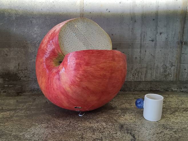 사과 외양의 아름다움과 내부 과육의 보석같은 맛을 한꺼번에 표현한 김문경 작가의 도예 작품