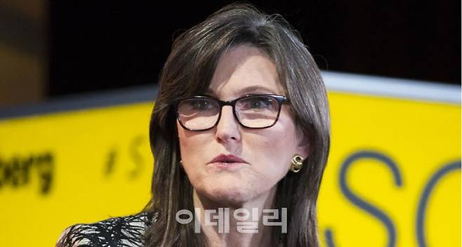 ‘돈나무 언니’로 알려진 아크인베스트먼트(이하 ARK)의 캐시 우드 최고경영자(CEO)가 불장난을 하고 있다는 비판을 받았다. (사진= CNN 캡처)