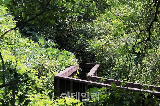 유네스코 람사르 생태공원으로 보호중인 전북 고창의 운곡습지의 탐방로