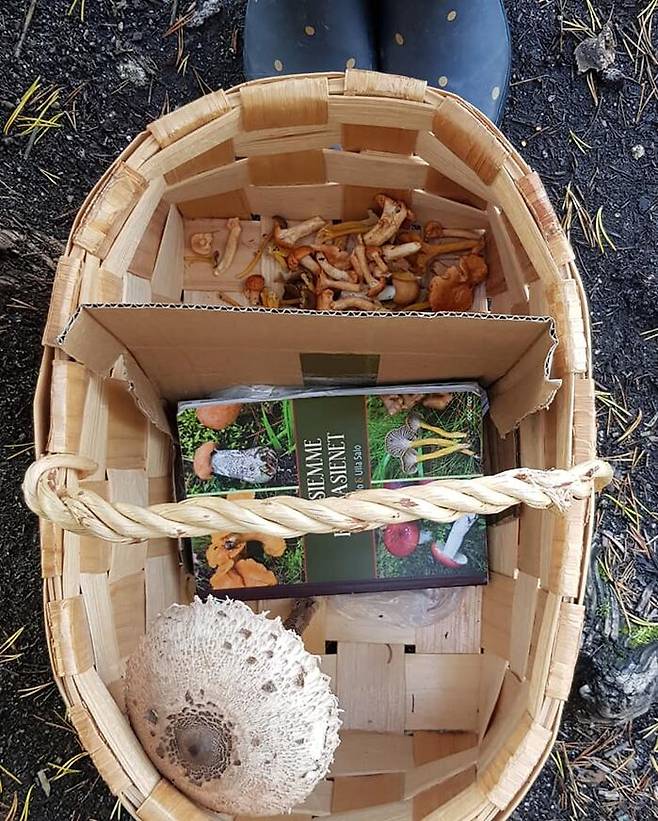 핀란드 전통 바구니 '파레코리'(parekori)