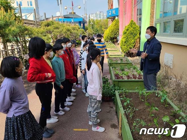 서천초등학교 텃밭에서 학생들을 대상으로 도시농업관리사가 강의를 하고 있는 모습.(용인시 제공) © News1 김평석 기자