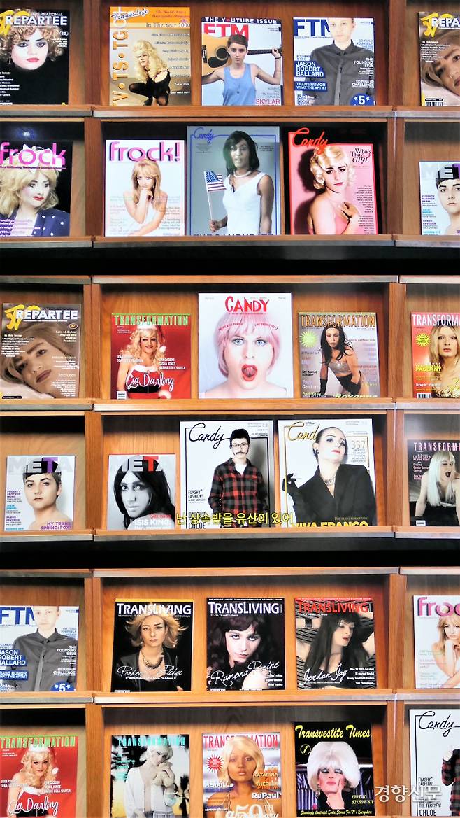 영화 ‘아이다호’ 장면을 차용한 브리스 델스페제의 비디오설치 ‘바디 더블 34’. 김종목 기자