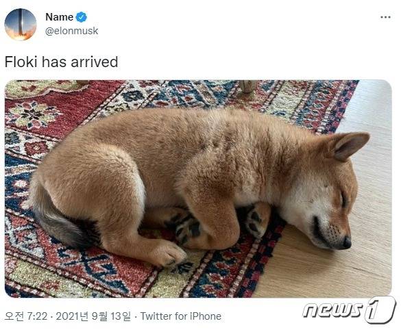 머스크 트위터 갈무리