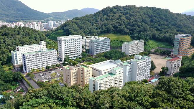 창신대 *재판매 및 DB 금지