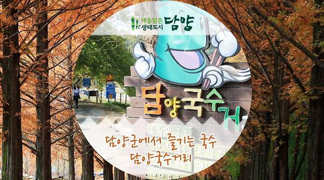 담양군 블로그