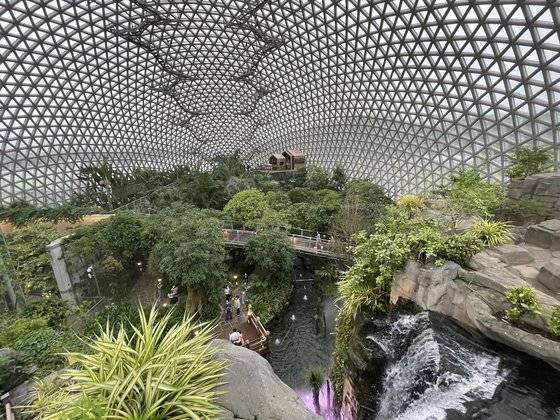 거제정글돔은 여느 식물원 온실과 달리 인공 바위를 적극 활용해 내부를 꾸몄다. 최승표 기자