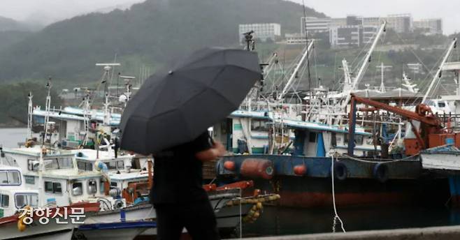 제14호 태풍 ‘찬투’가 북상하는 가운데 지난 14일 오후 경남 통영시 무전동 해변공원 일대에 피항한 선박이 가득하다.연합뉴스