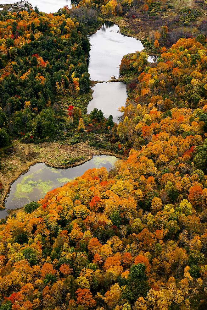 캐나다의 가을 단풍. [사진 = 캐나다관광청]