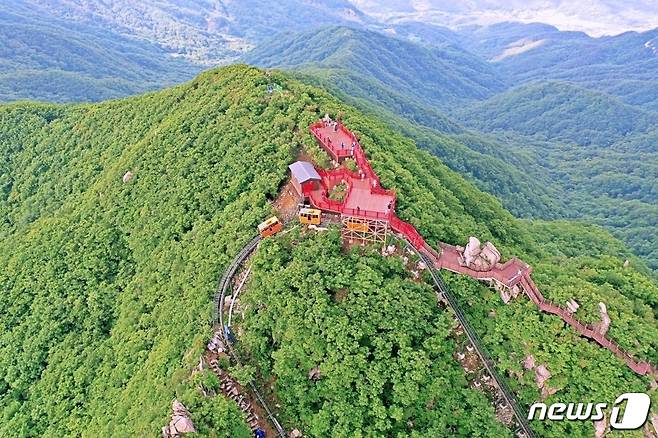 함양대봉산휴양밸리 정상 전경(함양군 제공) © 뉴스1